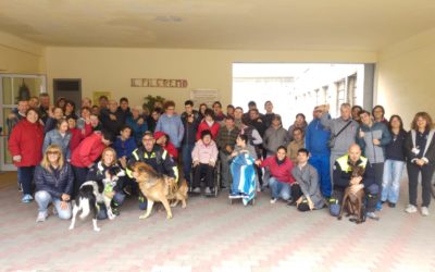 Dimostrazione Gruppo Cinofilo N.O.C. Protezione Civile di Pavia